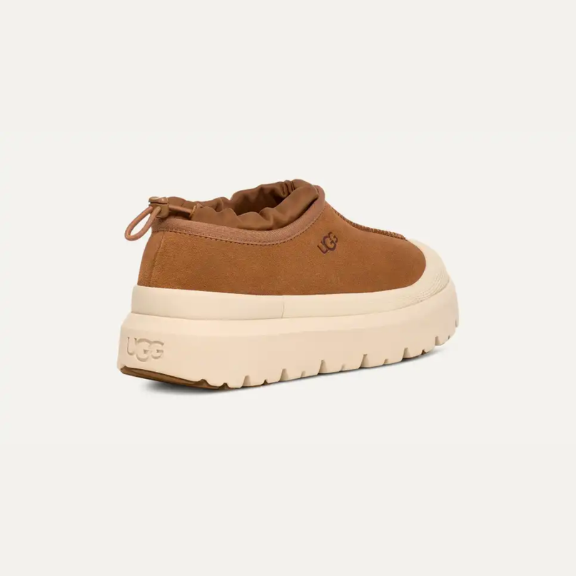 Tasman Weather Hybrid Women's