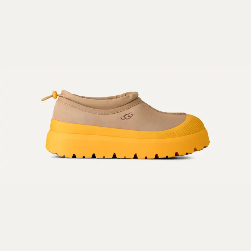 Tasman Weather Hybrid Mustard Seed / Summer Wheat Men's