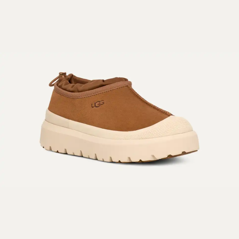 Tasman Weather Hybrid Chestnut / Whitecap Men's