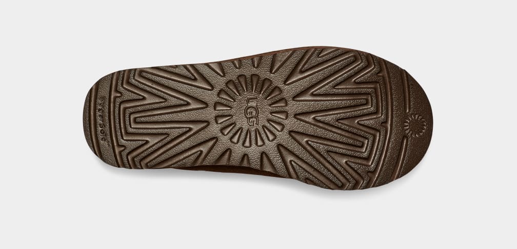 TASMAN - Chaussons - Marron foncé