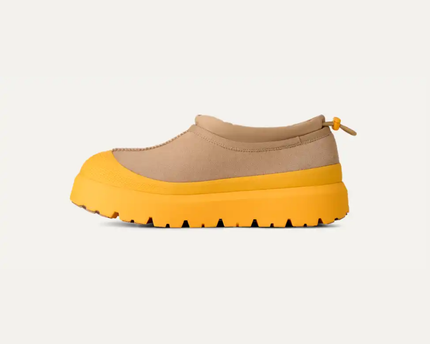Tasman Weather Hybrid Mustard Seed / Summer Wheat Men's