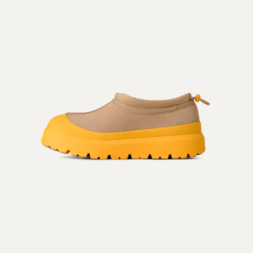 Tasman Weather Hybrid Mustard Seed / Summer Wheat Men's