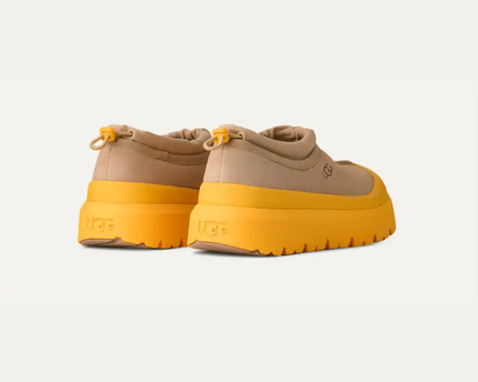 Tasman Weather Hybrid Mustard Seed / Summer Wheat Men's