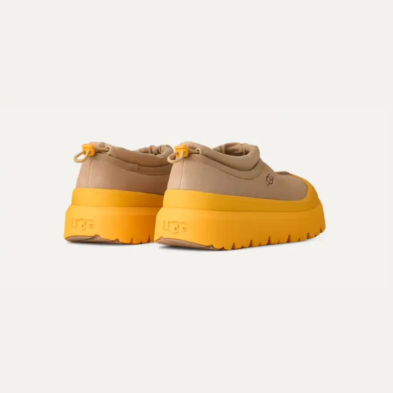 Tasman Weather Hybrid Mustard Seed / Summer Wheat Women's