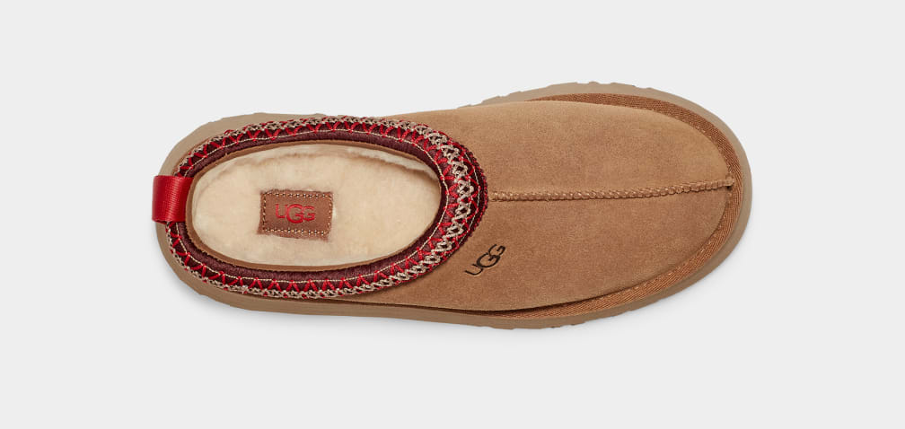 Chausson Tazz Classique