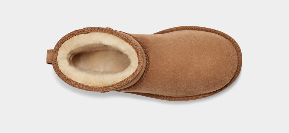 Botte Classic Mini II Chestnut - Marron clair