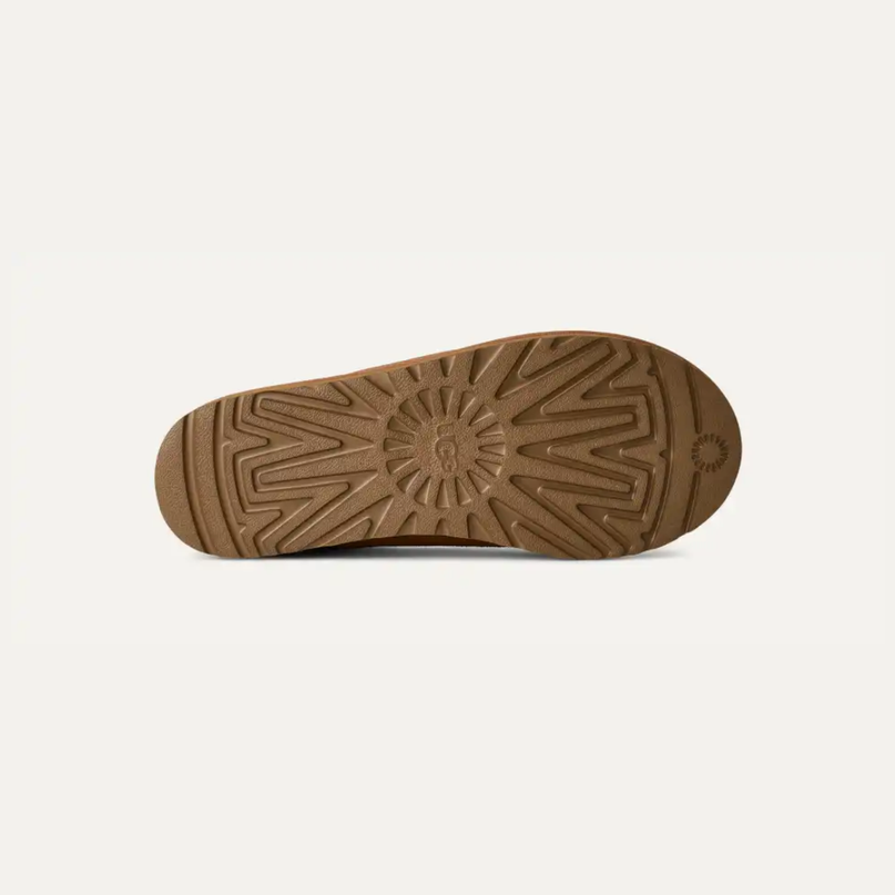 Tasman II Chestnut Men's
